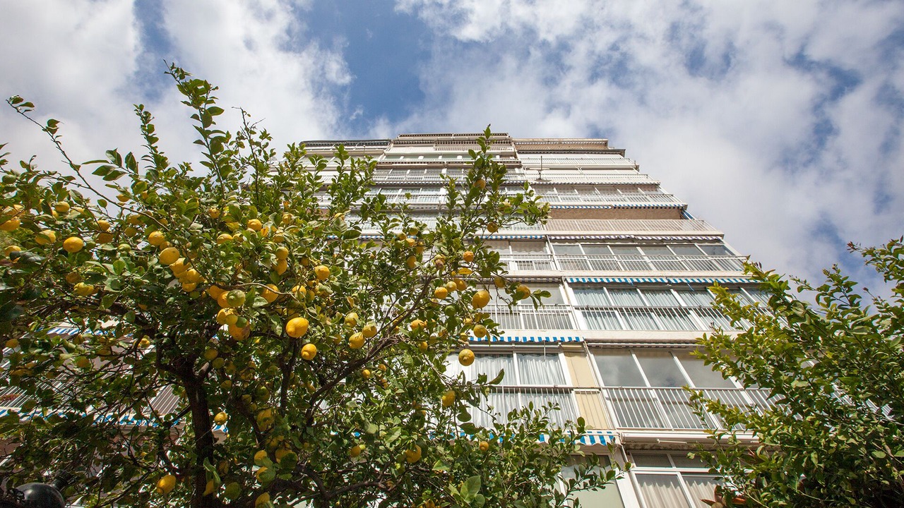 Photo of Outdoor in Cala