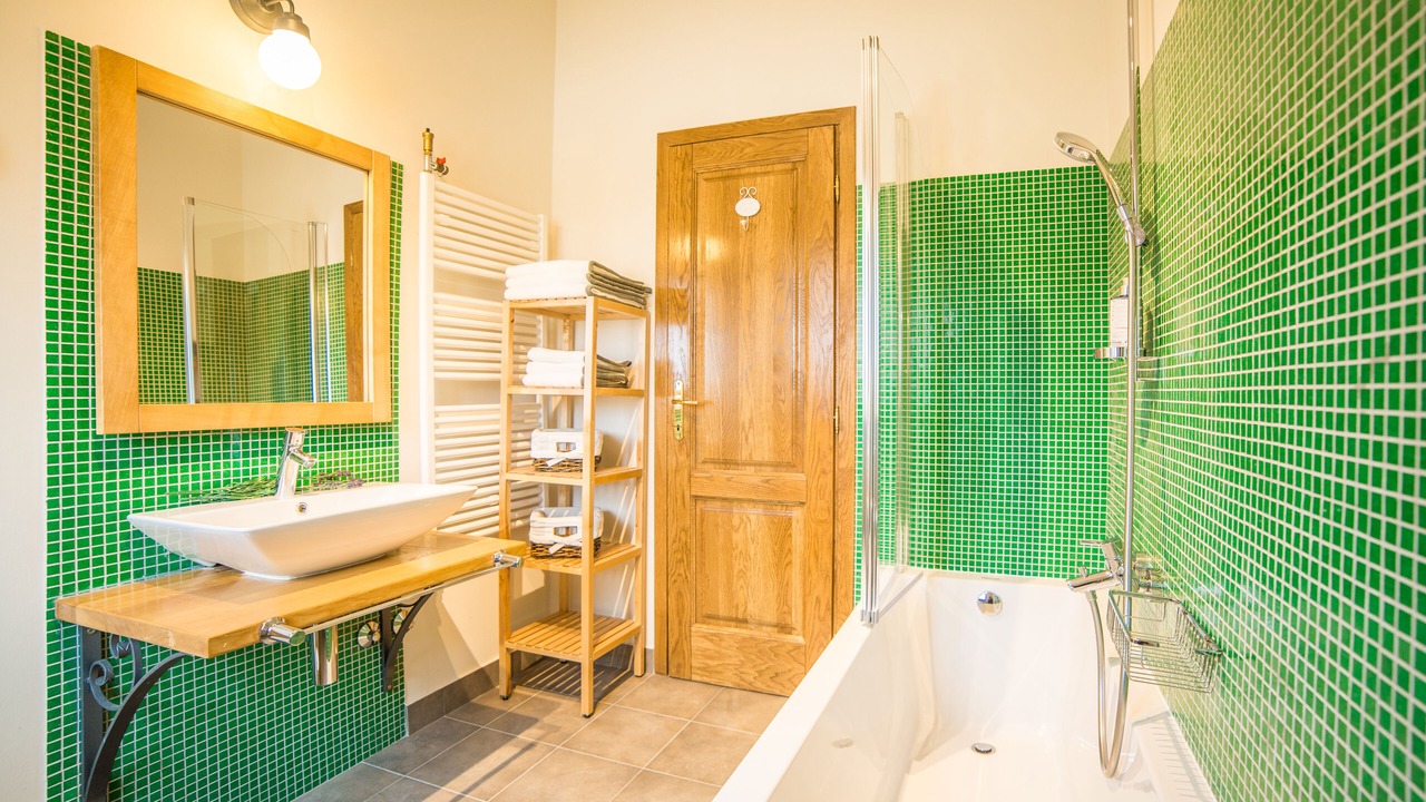 Photo of Bathroom in Momjan
