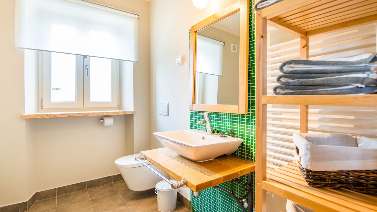 Photo of Bathroom in Momjan