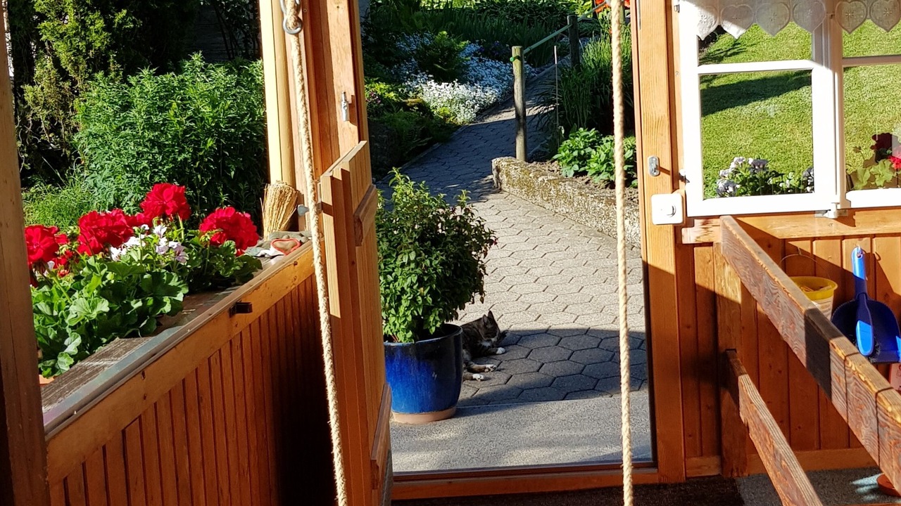 Photo of Others in Grindelwald