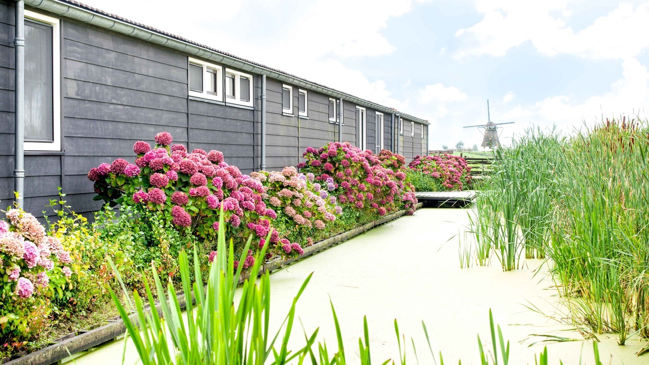 Photo of Outdoor in Rijpwetering