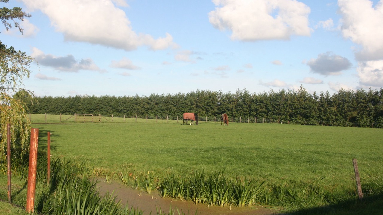 Photo of Others in Rijpwetering