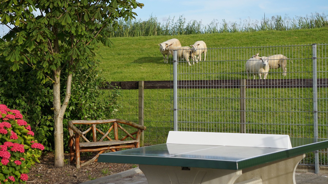Photo of Outdoor in Rijpwetering