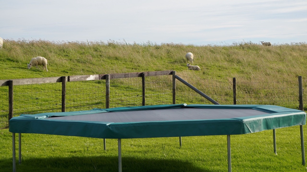 Photo of Outdoor in Rijpwetering