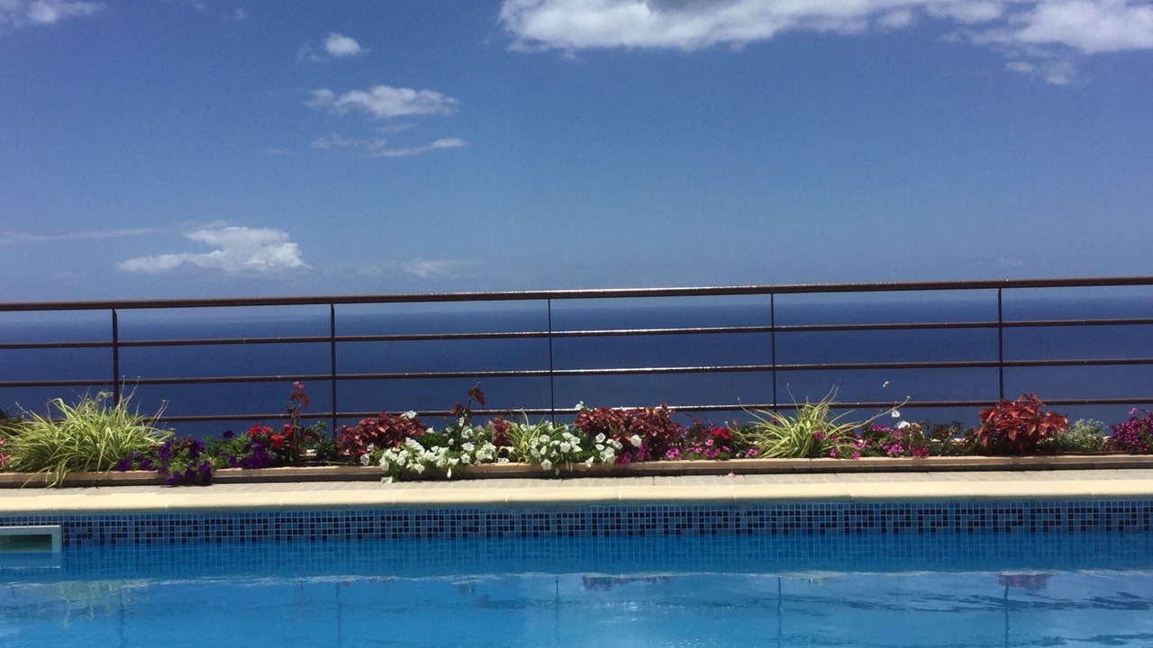 Photo of Others in Arco da Calheta