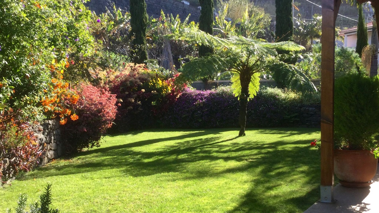 Photo of Outdoor in Arco da Calheta