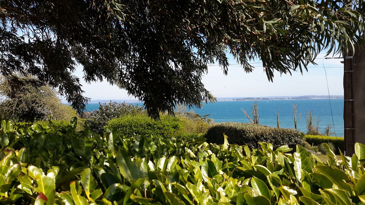 Photo of Outdoor in Roscoff