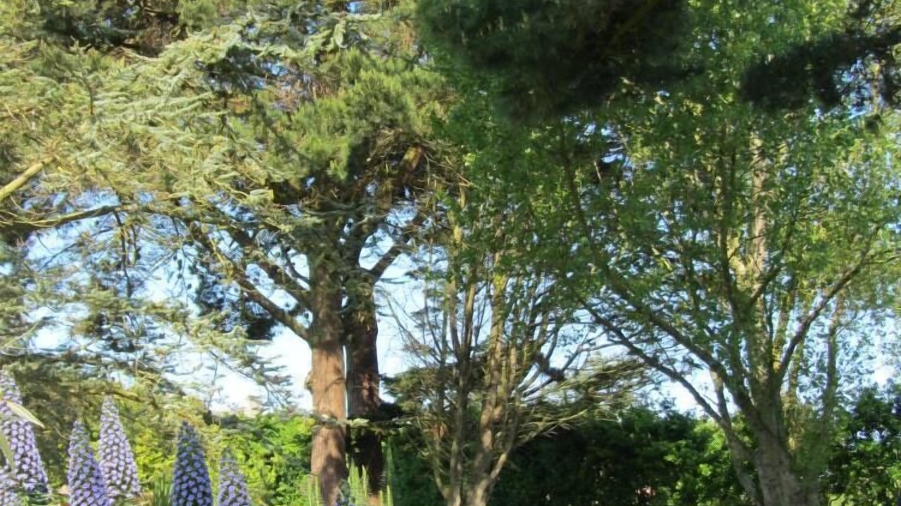 Photo of Outdoor in Roscoff
