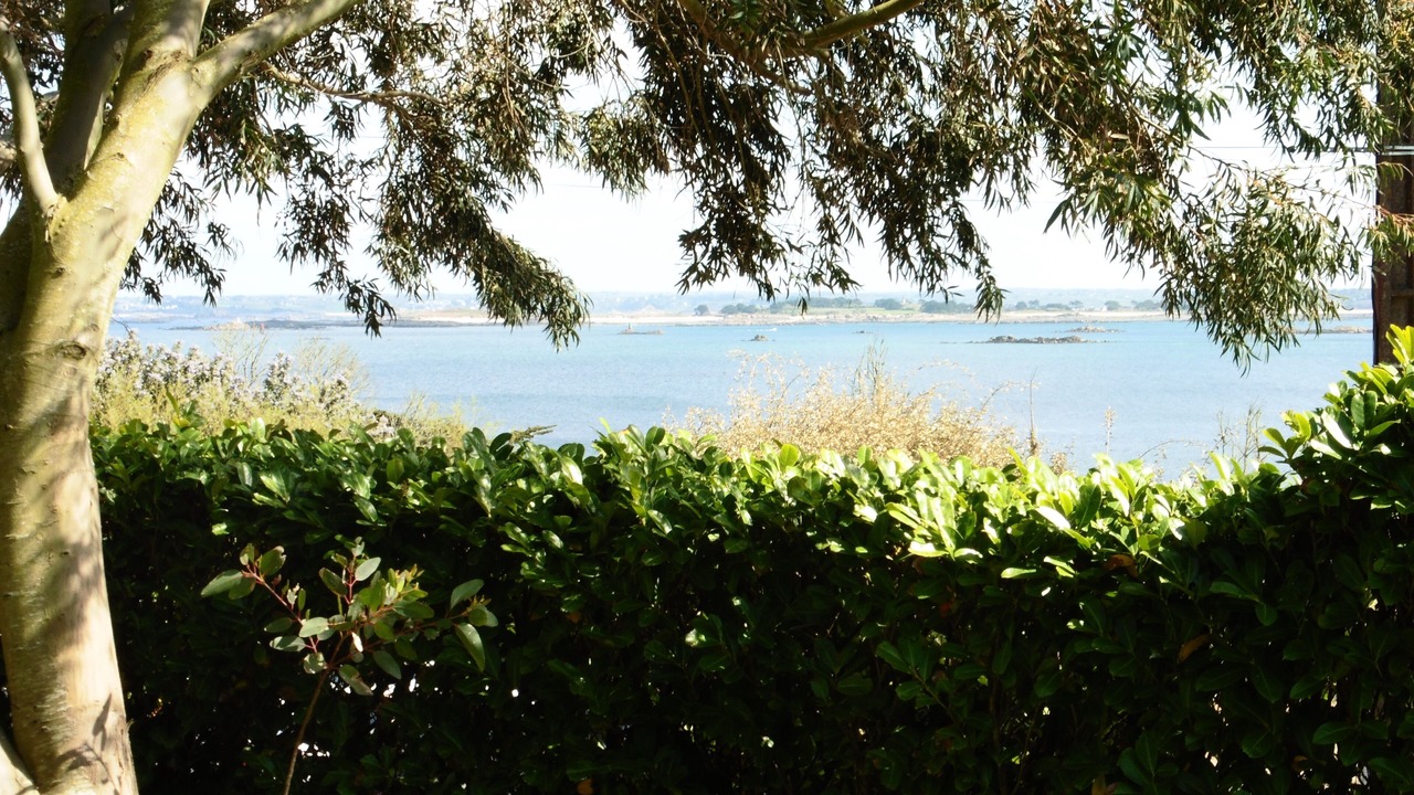 Photo of Others in Roscoff