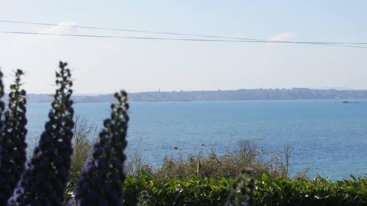 Photo of Others in Roscoff