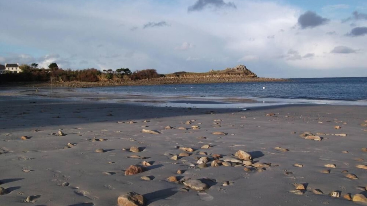 Photo of Others in Roscoff