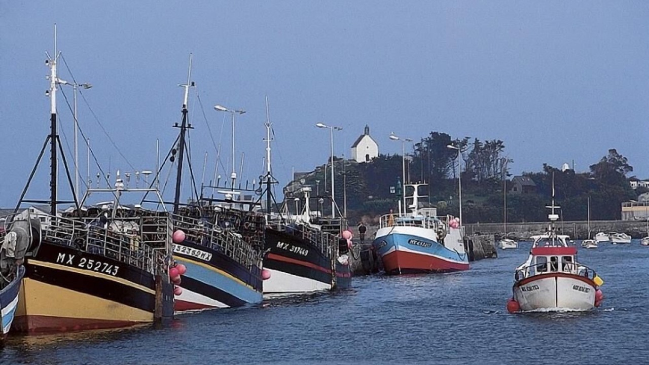 Photo of Others in Roscoff