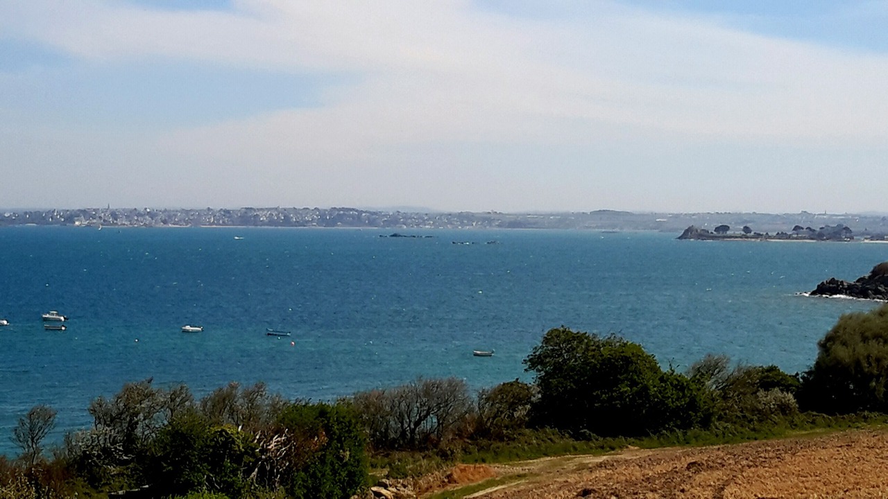 Photo of Others in Roscoff