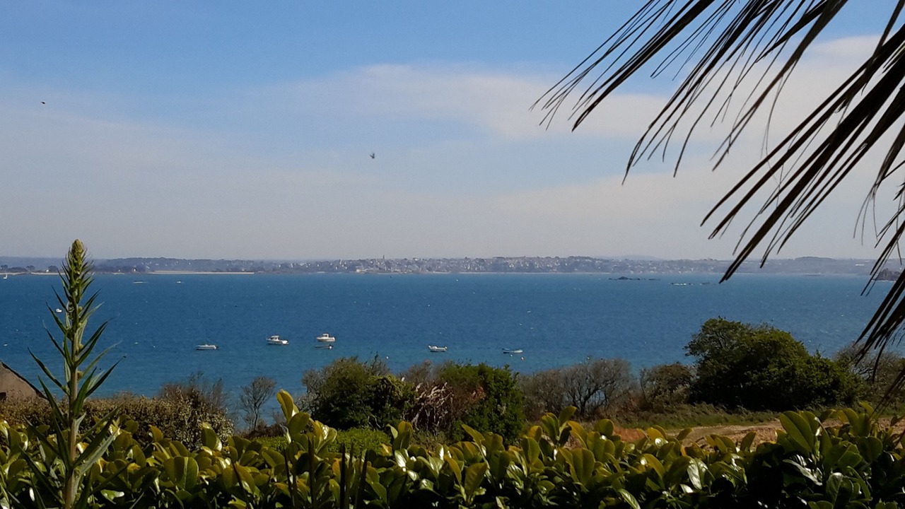 Photo of Others in Roscoff