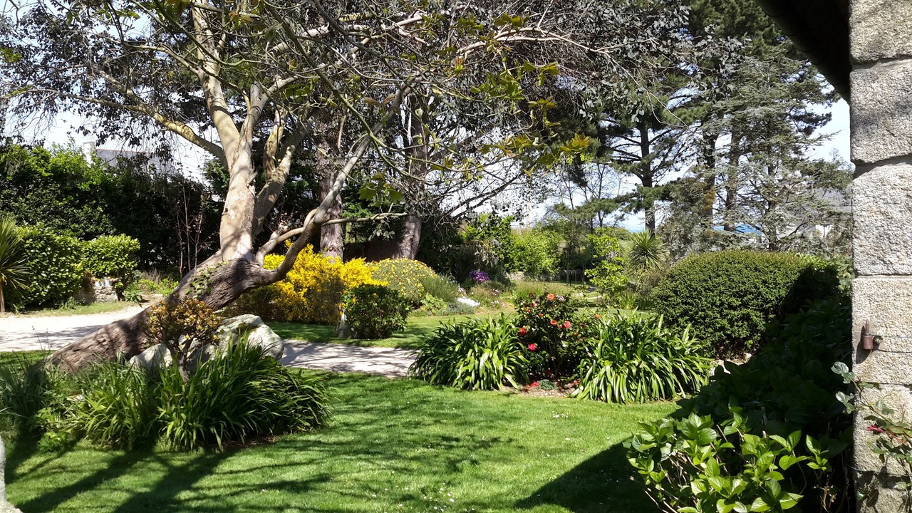 Photo of Outdoor in Roscoff