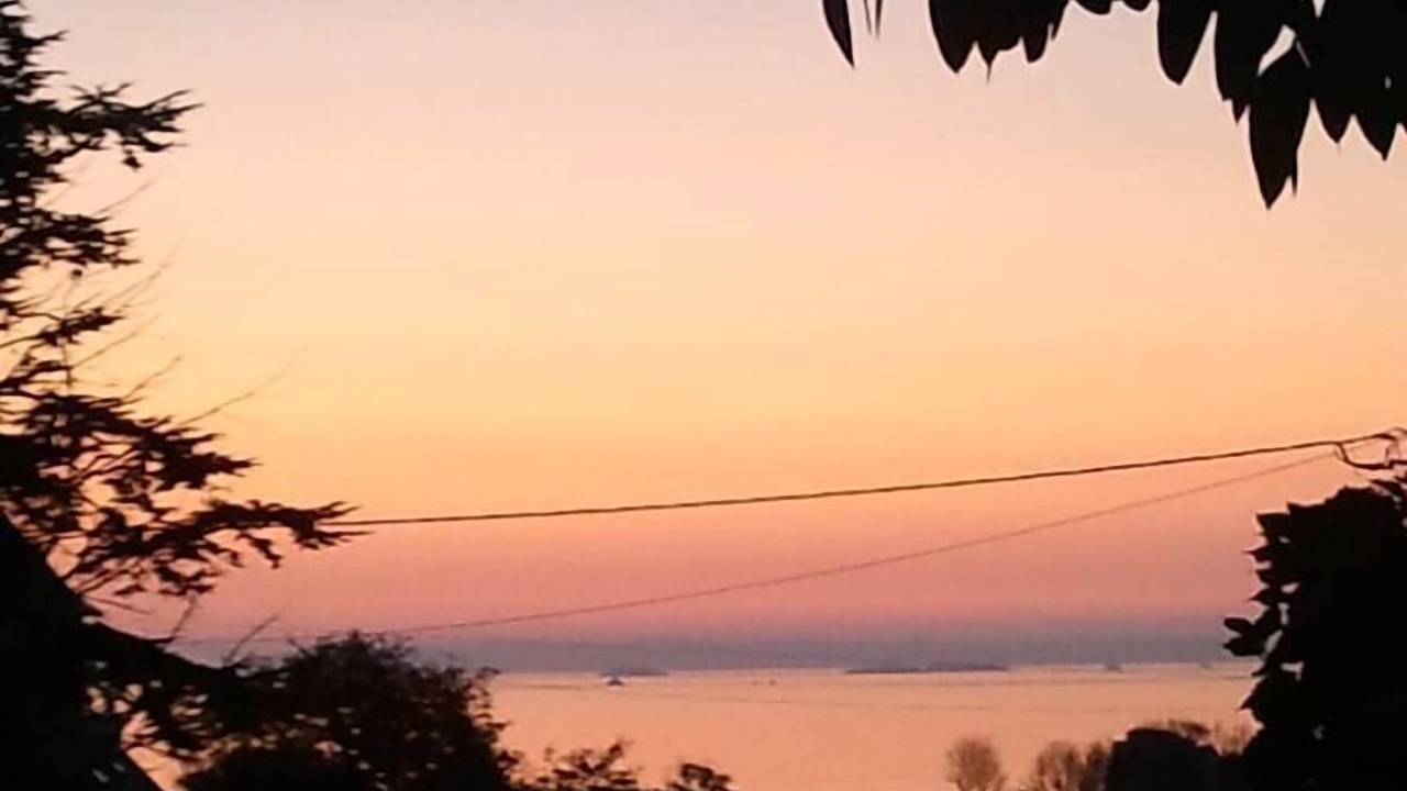 Photo of Outdoor in Roscoff
