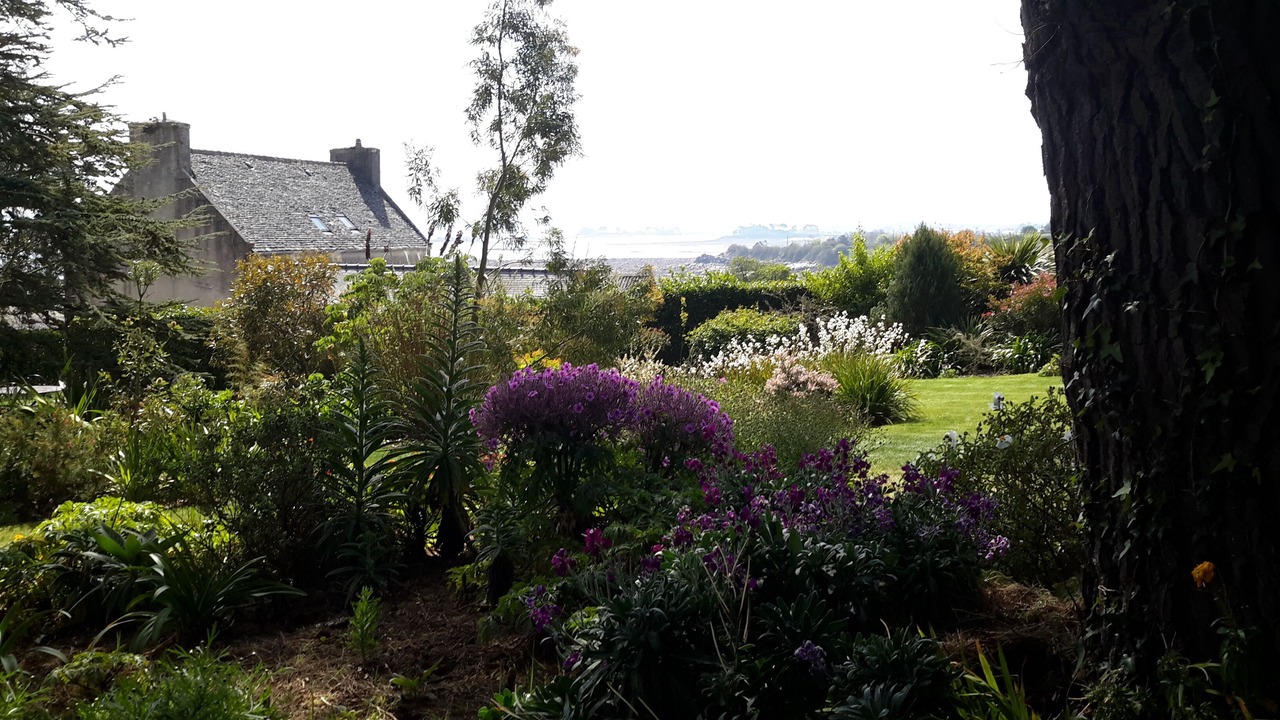 Photo of Outdoor in Roscoff