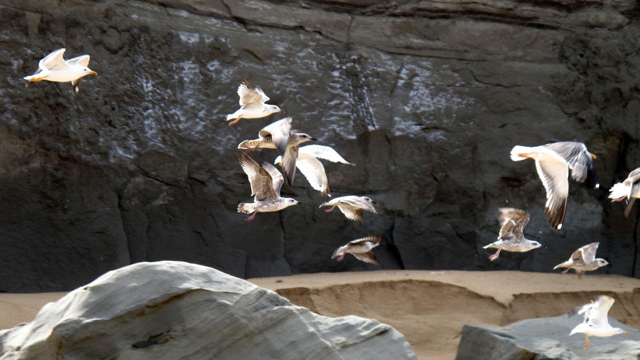 Photo of Outdoor in Sao Pedro da Cadeira