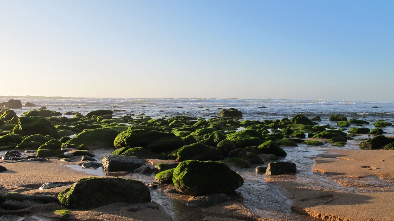 Photo of Others in Sao Pedro da Cadeira