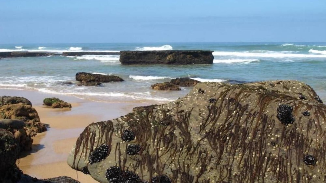 Photo of Others in Sao Pedro da Cadeira