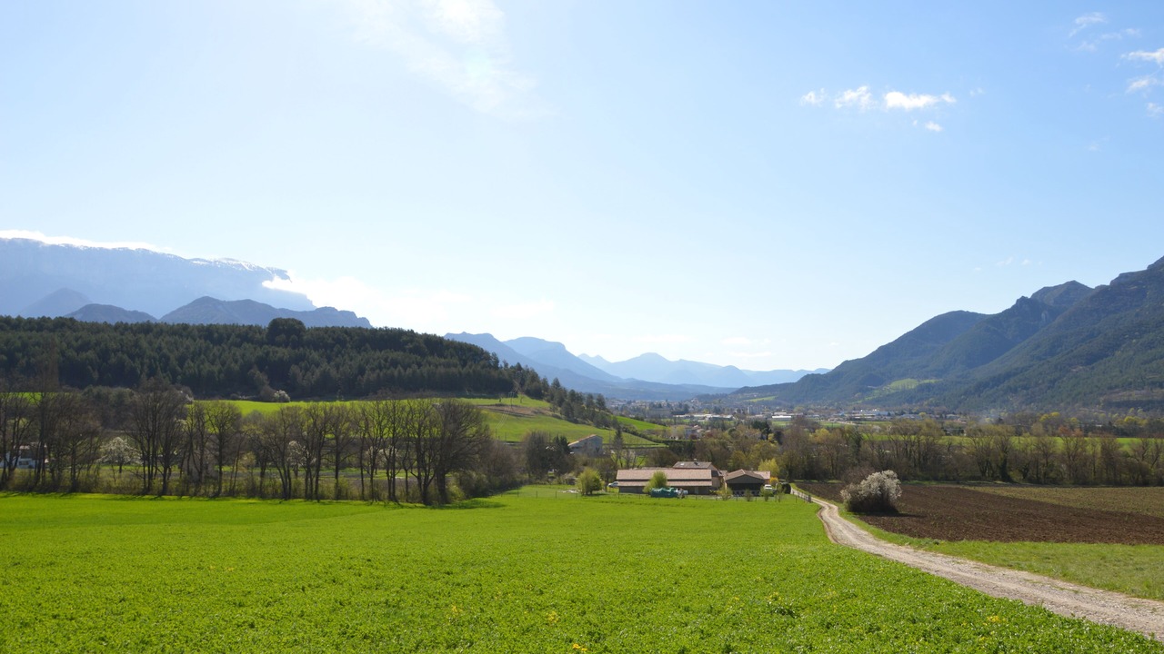 Photo of Outdoor in Die