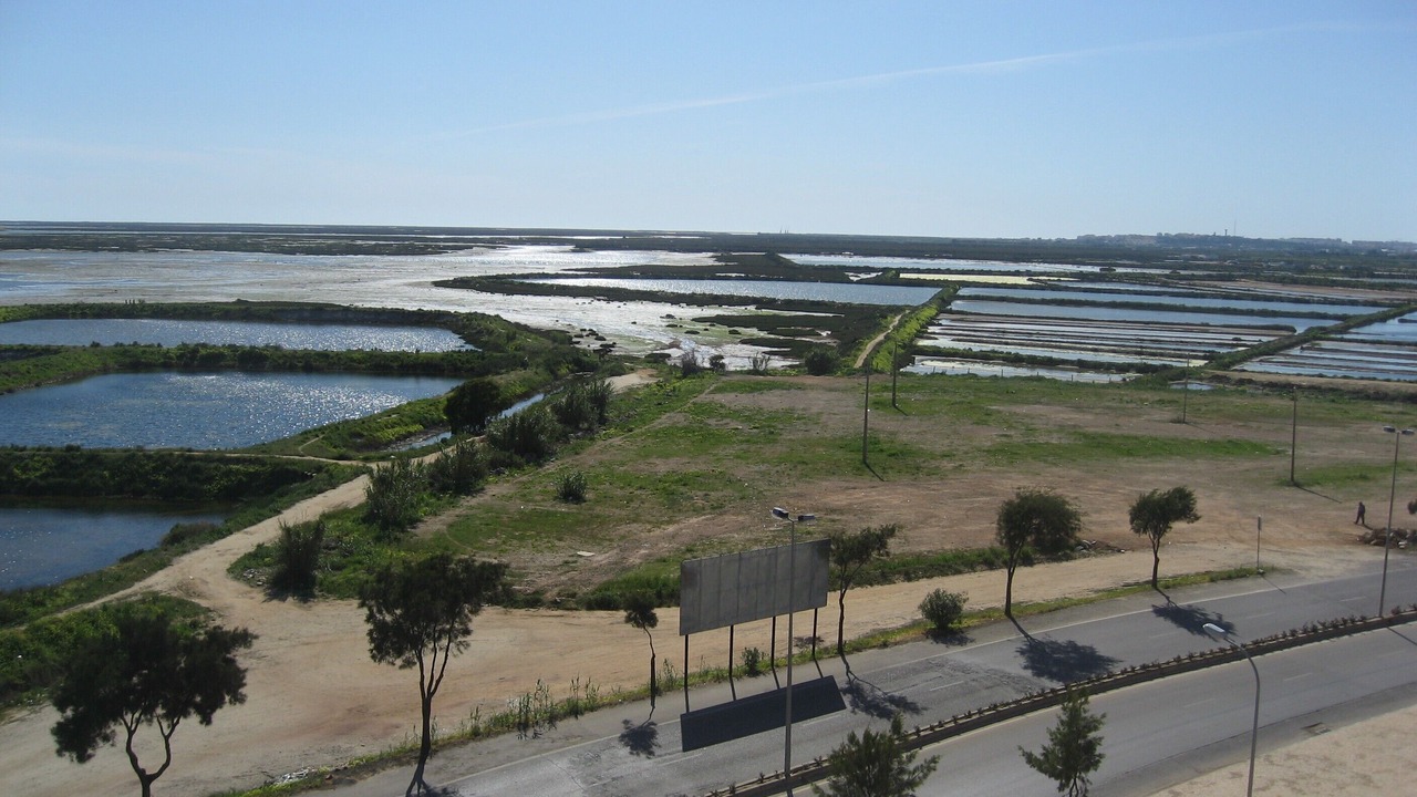 Photo of Others in Olhao