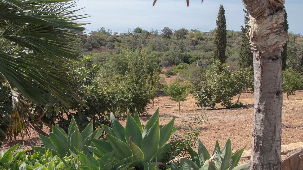 Photo of Outdoor in Faro