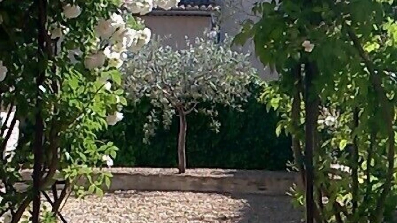 Photo of Outdoor in Goult