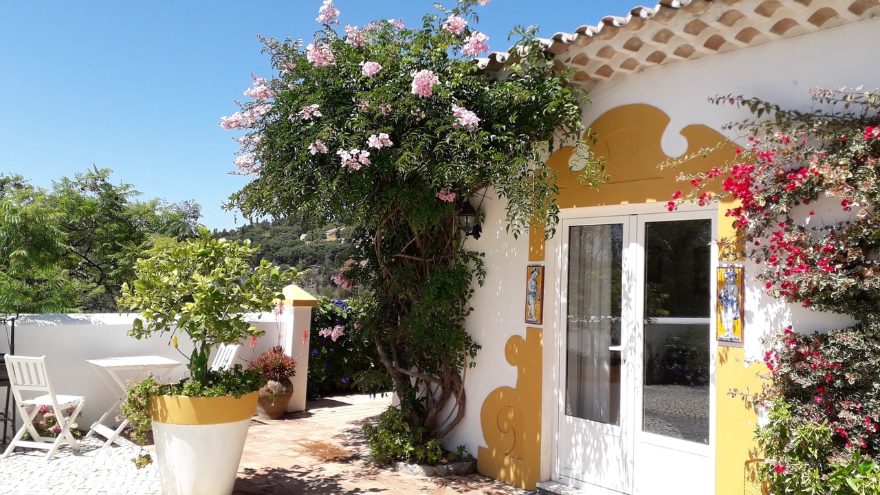 Photo of Outdoor in Monchique
