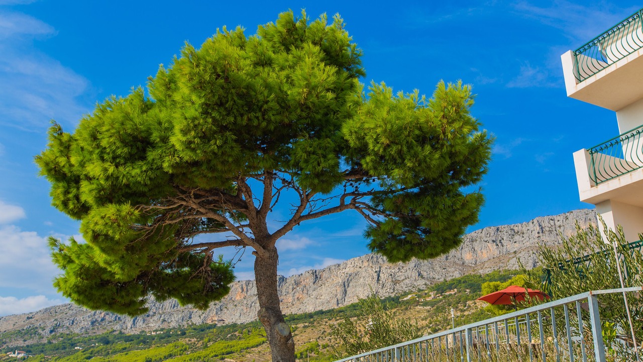 Photo of Outdoor in Dugi Rat
