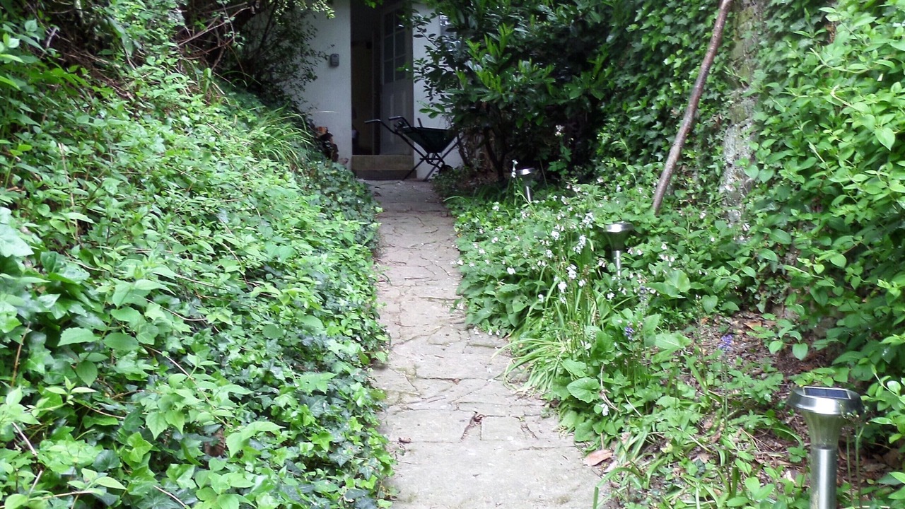 Photo of Outdoor in Plenee-Jugon