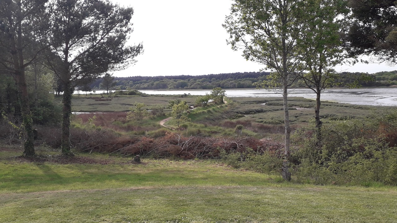 Photo of Outdoor in Port de St Goustan