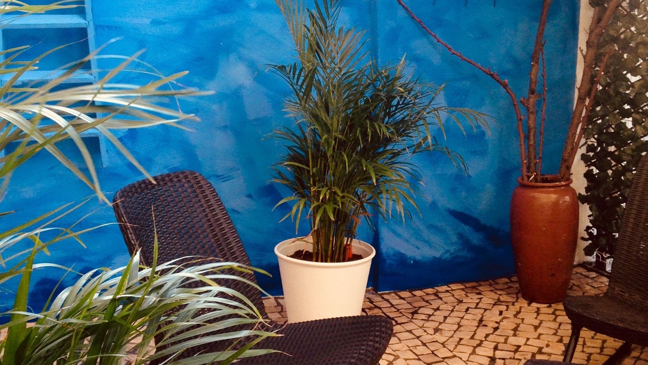 Photo of Patio Balcony in Santa Isabel
