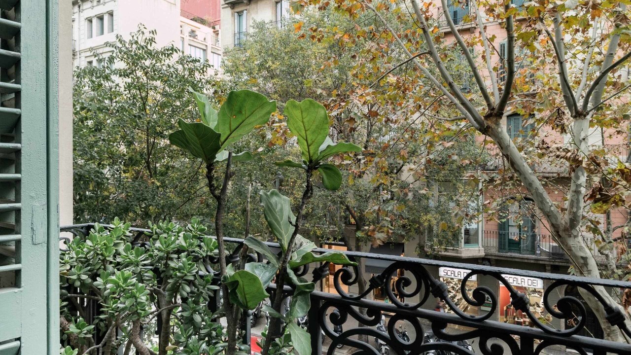 Photo of Outdoor in Eixample