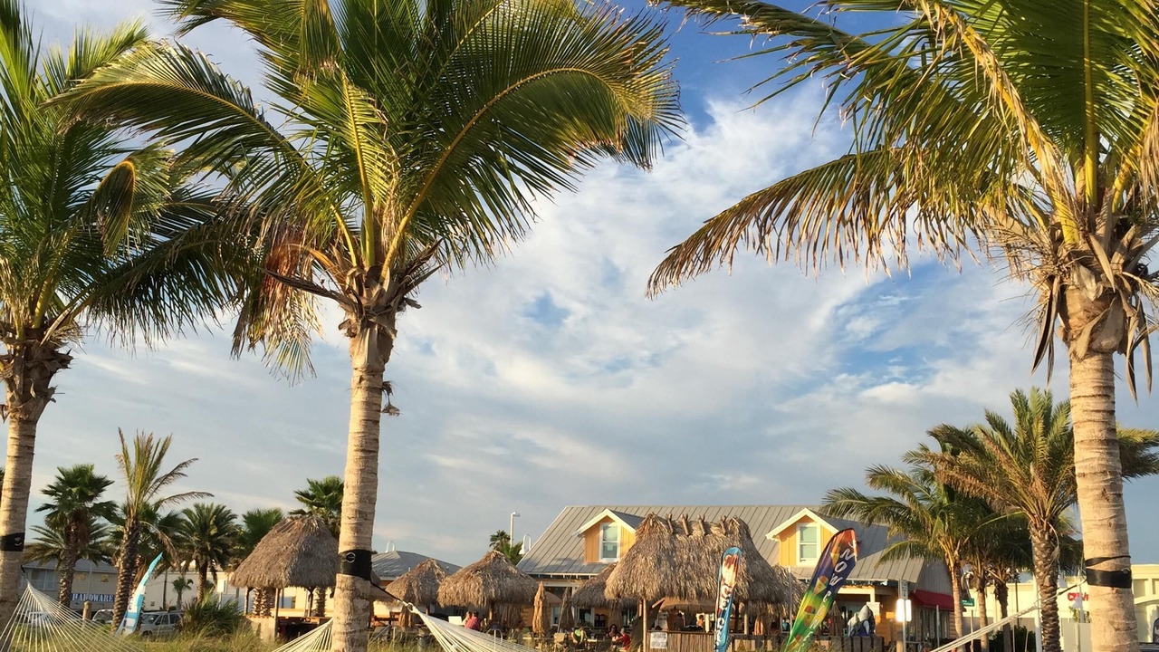 Photo of Others in Madeira Beach