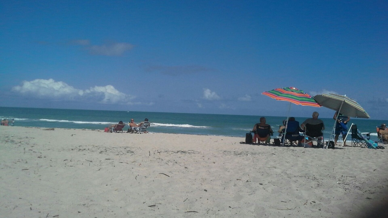 Photo of Others in Piney Island