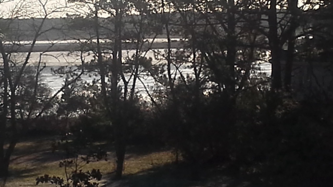 Photo of Outdoor in Piney Island