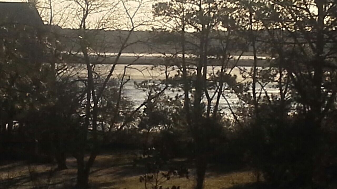 Photo of Others in Piney Island