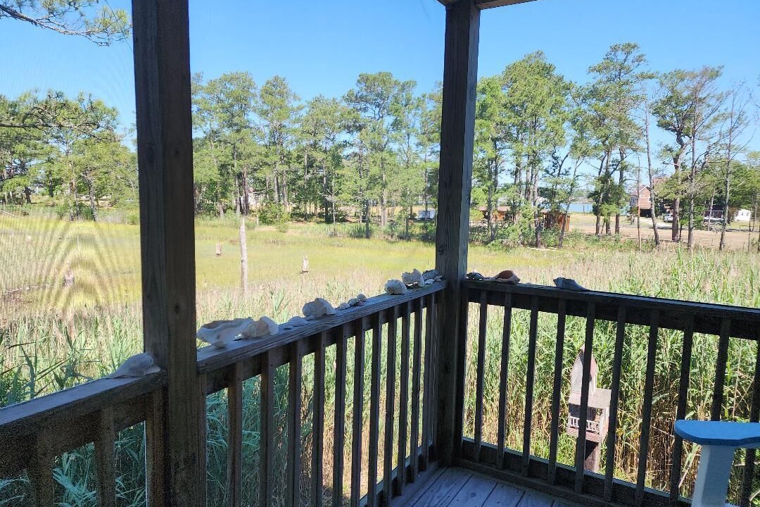 Photo of Outdoor in Piney Island