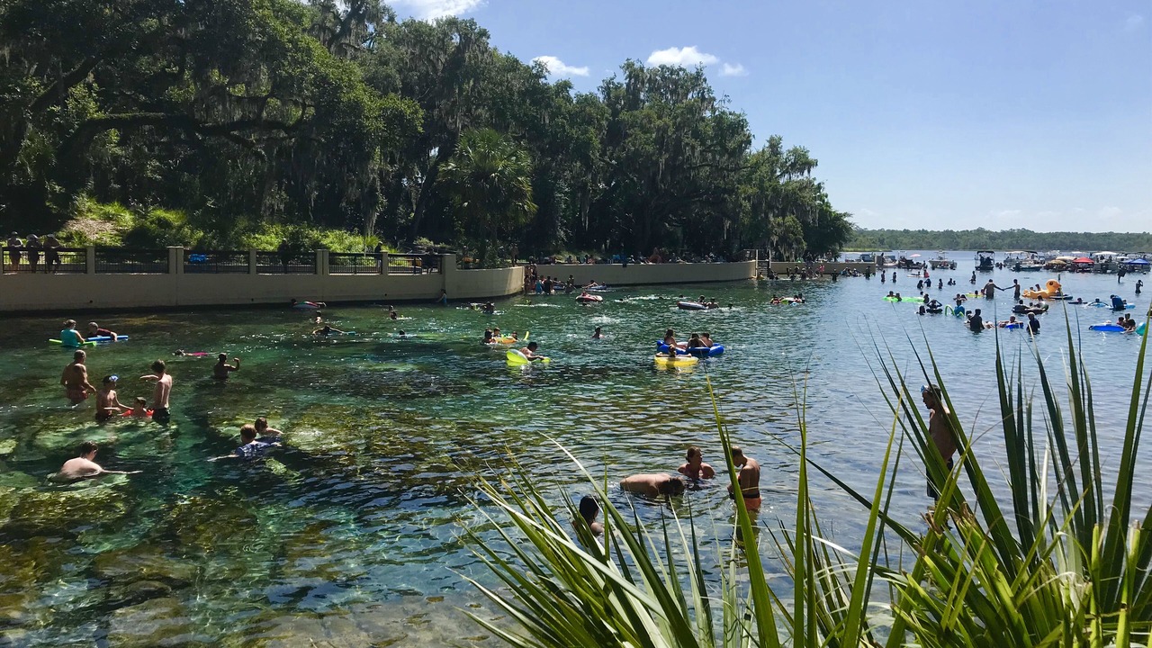 Photo of Others in Salt Springs