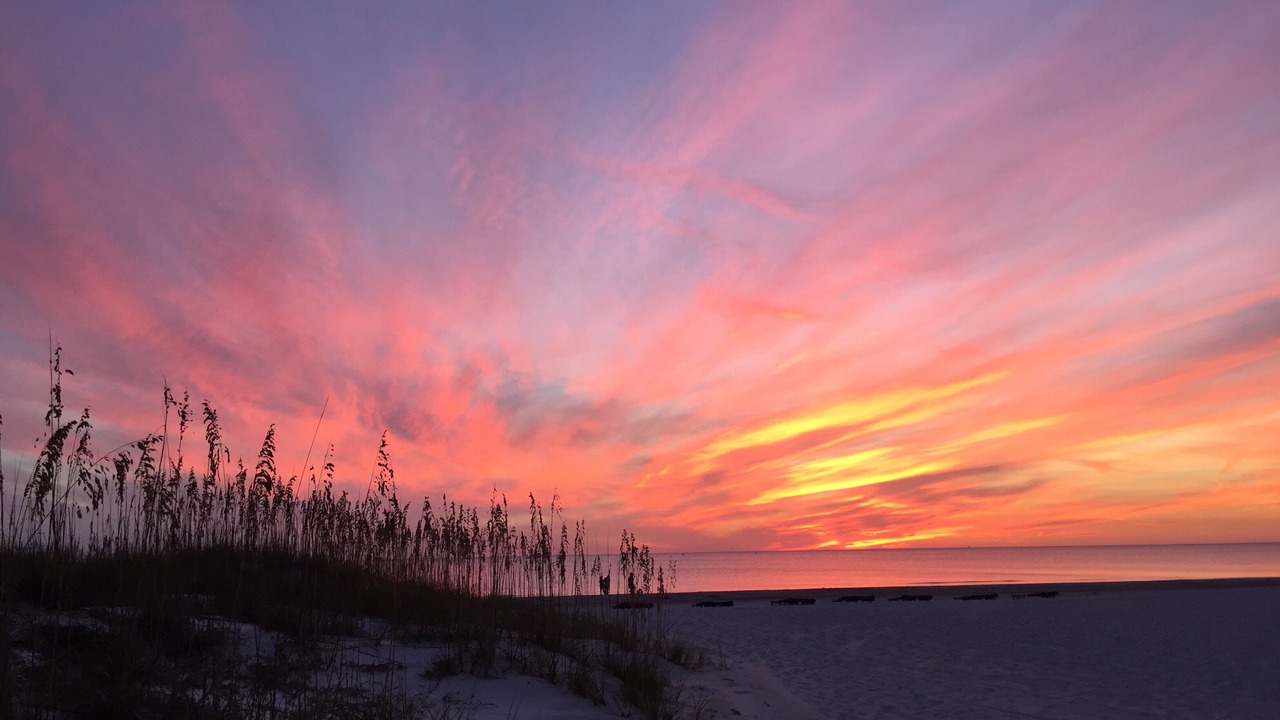 Photo of Others in Madeira Beach