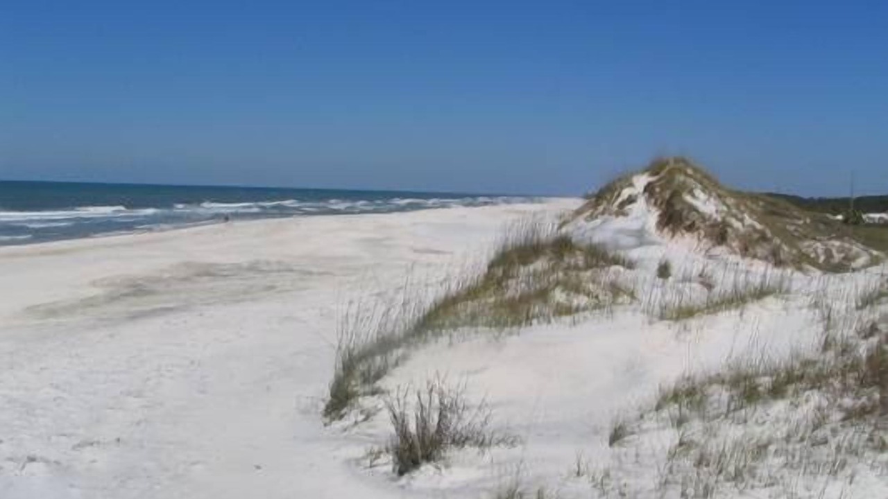 Photo of Others in Cape San Blas