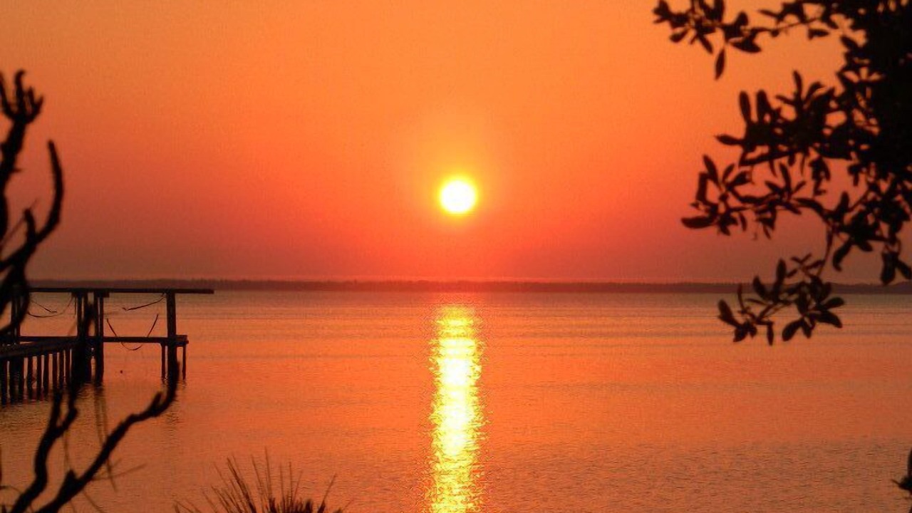 Photo of Others in Cape San Blas