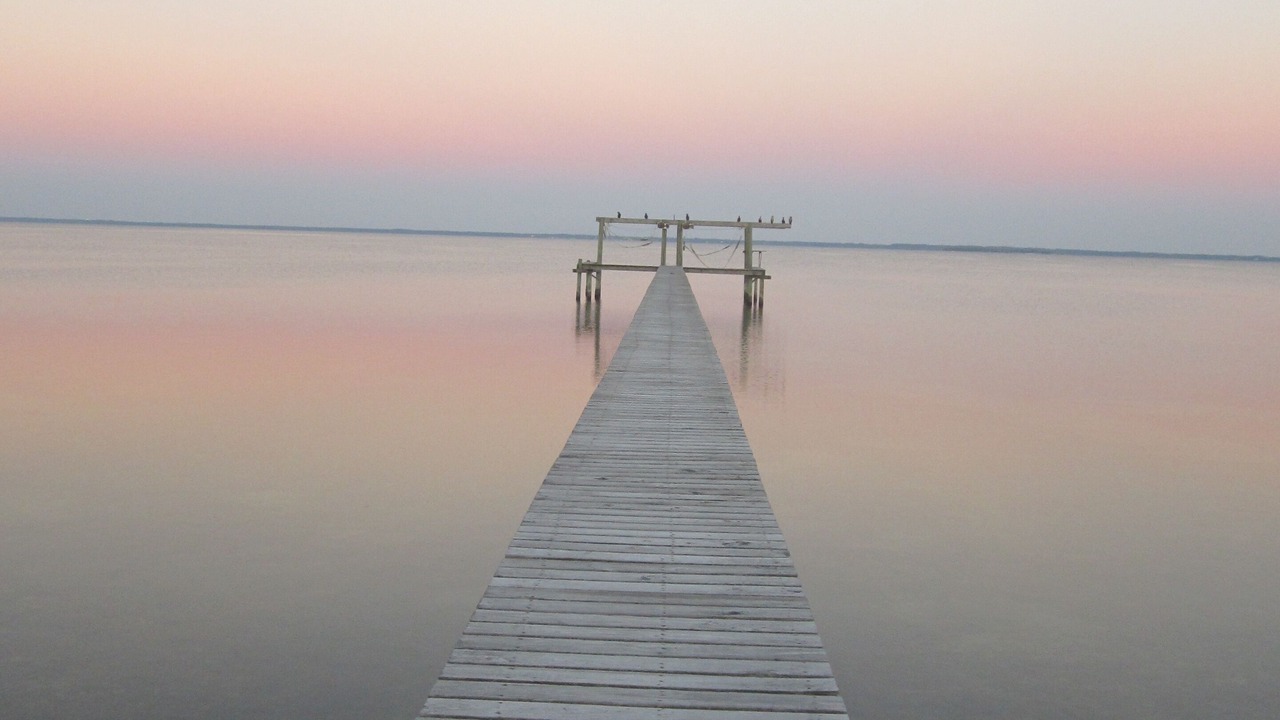 Photo of Others in Cape San Blas