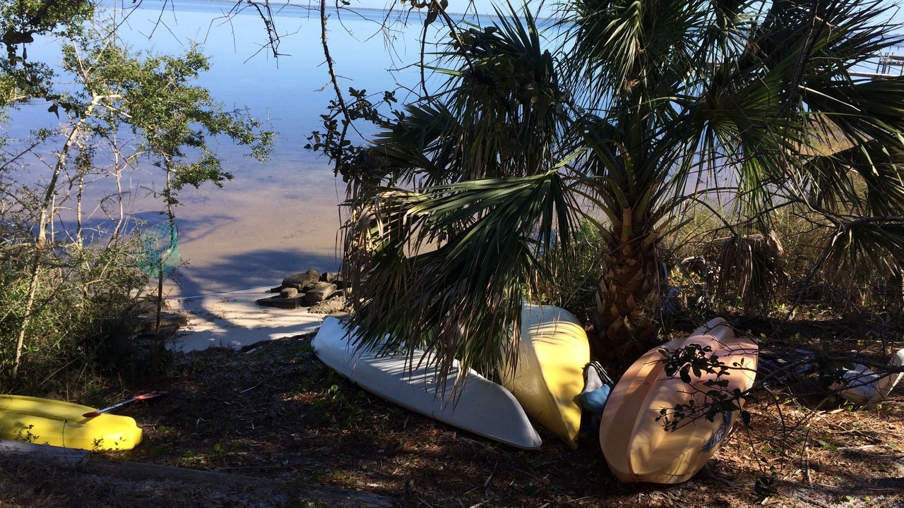 Photo of Others in Cape San Blas