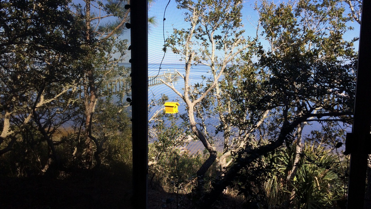 Photo of Outdoor in Cape San Blas