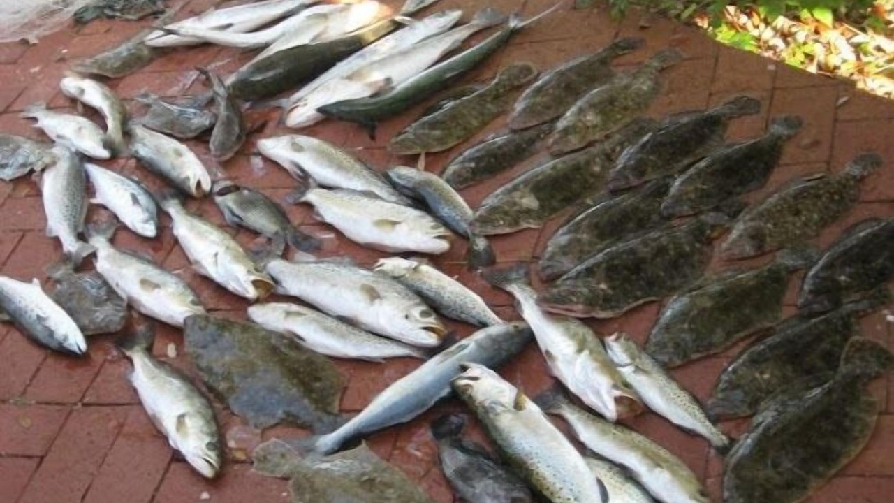 Photo of Others in Cape San Blas