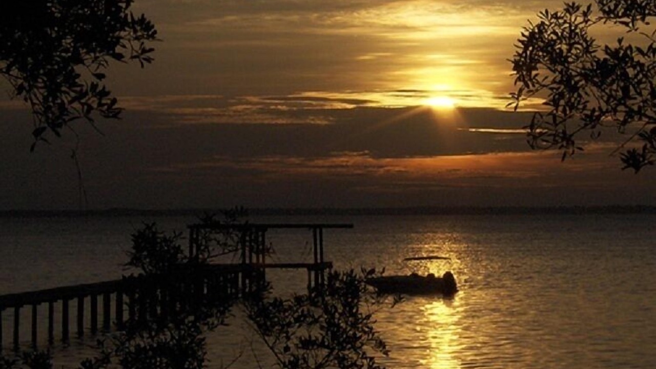Photo of Others in Cape San Blas