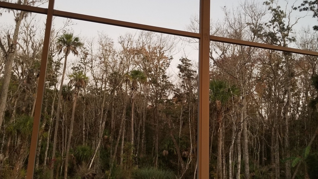 Photo of Others in Crystal River