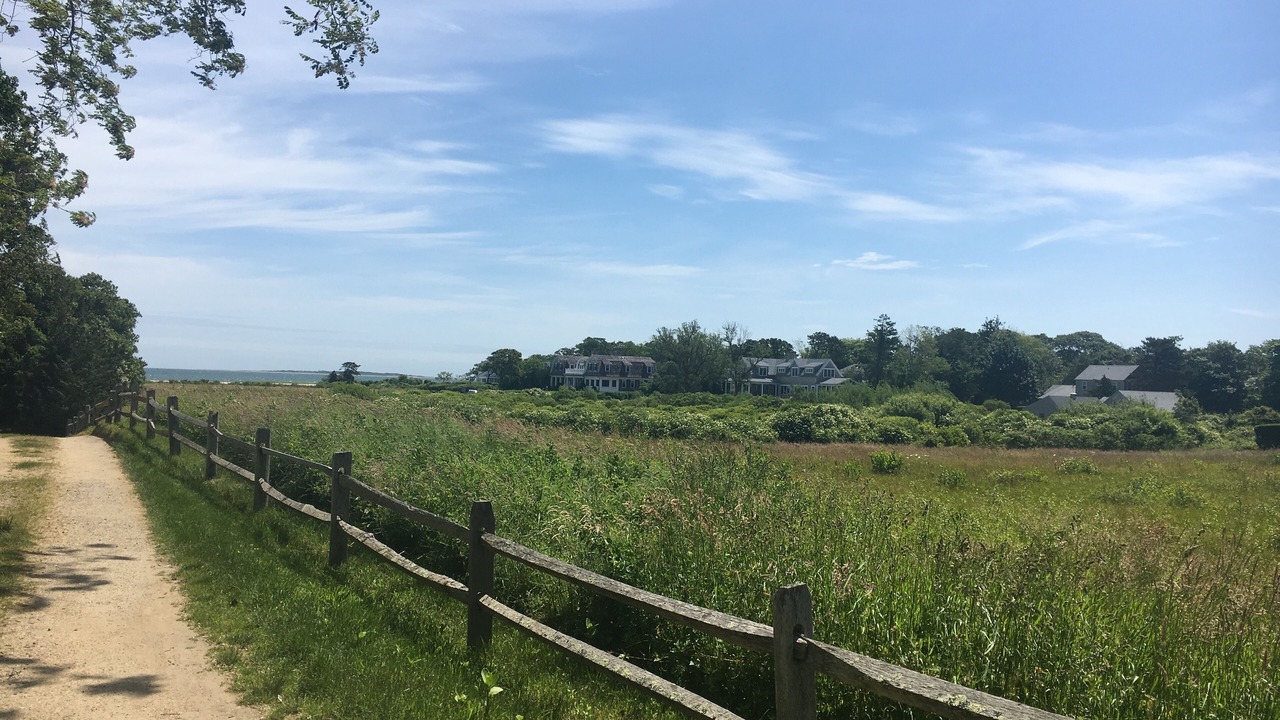 Photo of Others in Edgartown